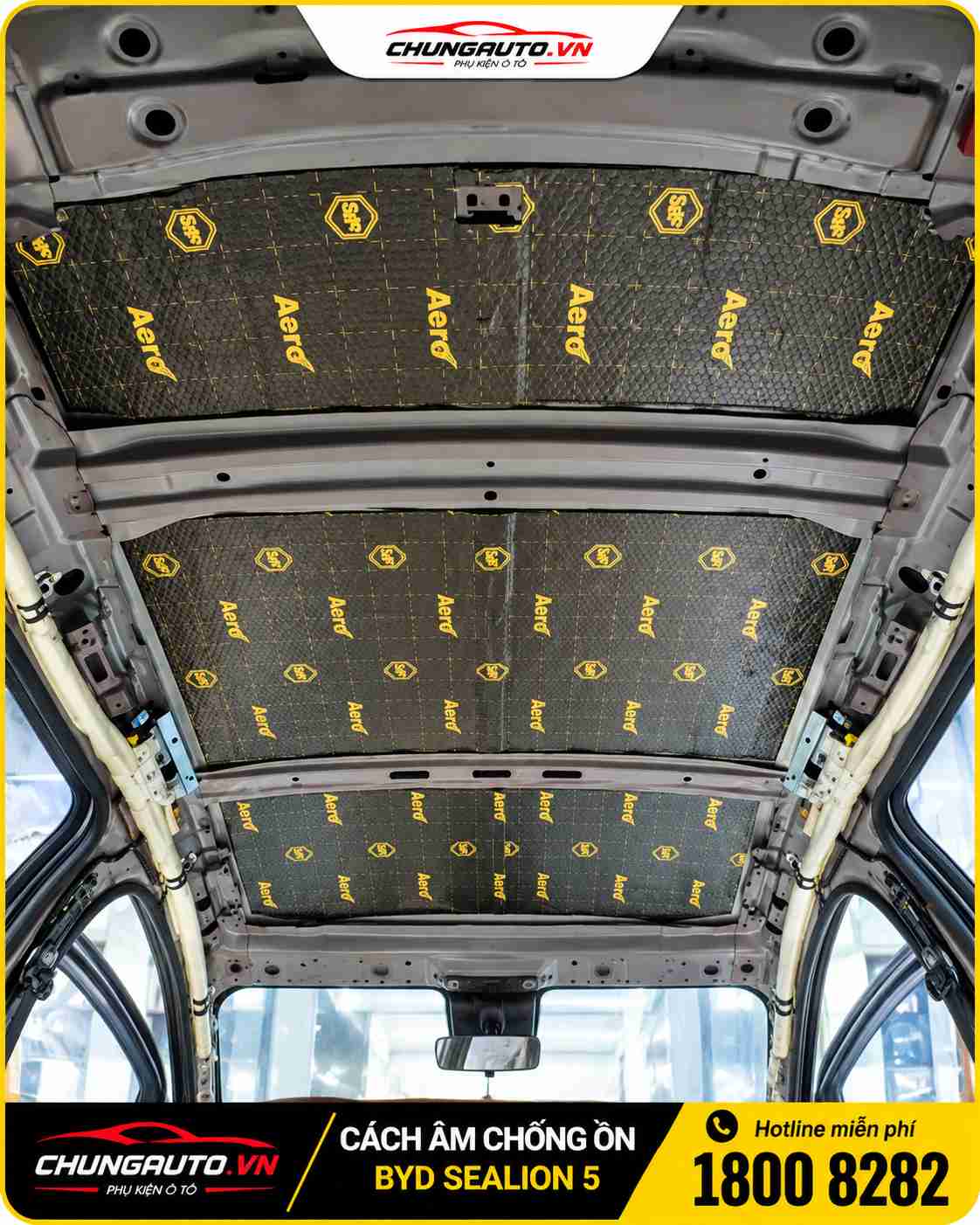 cach-am-tran-byd-sealion-5