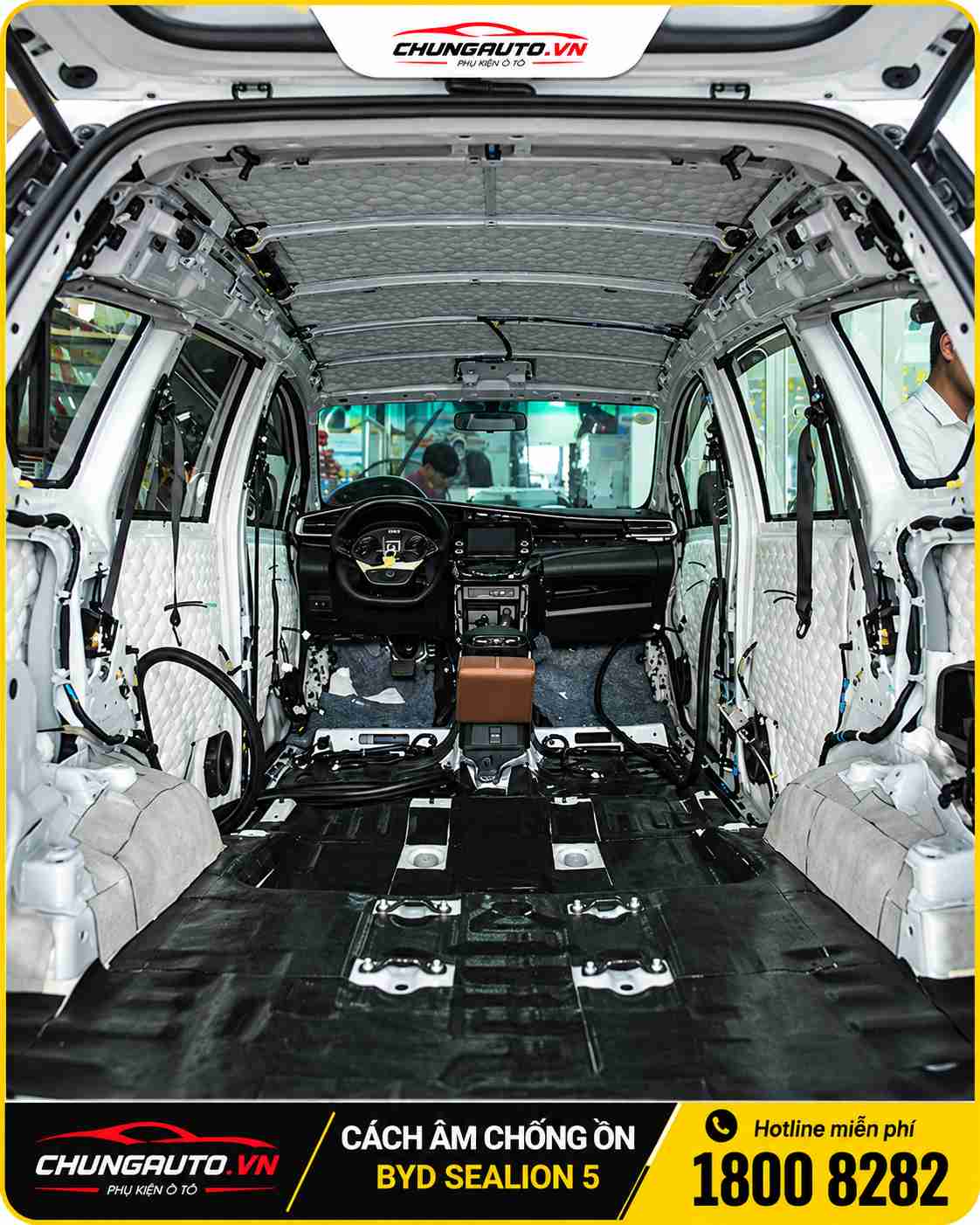 cach-am-byd-sealion-5