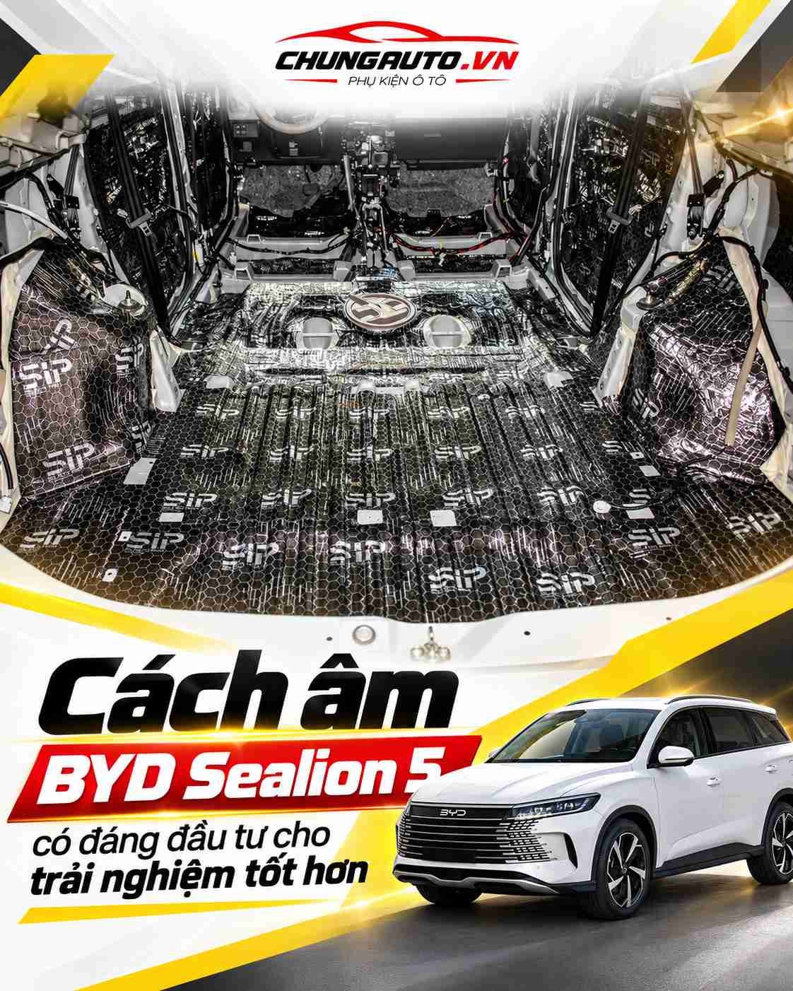 cach-am-byd-sealion-5