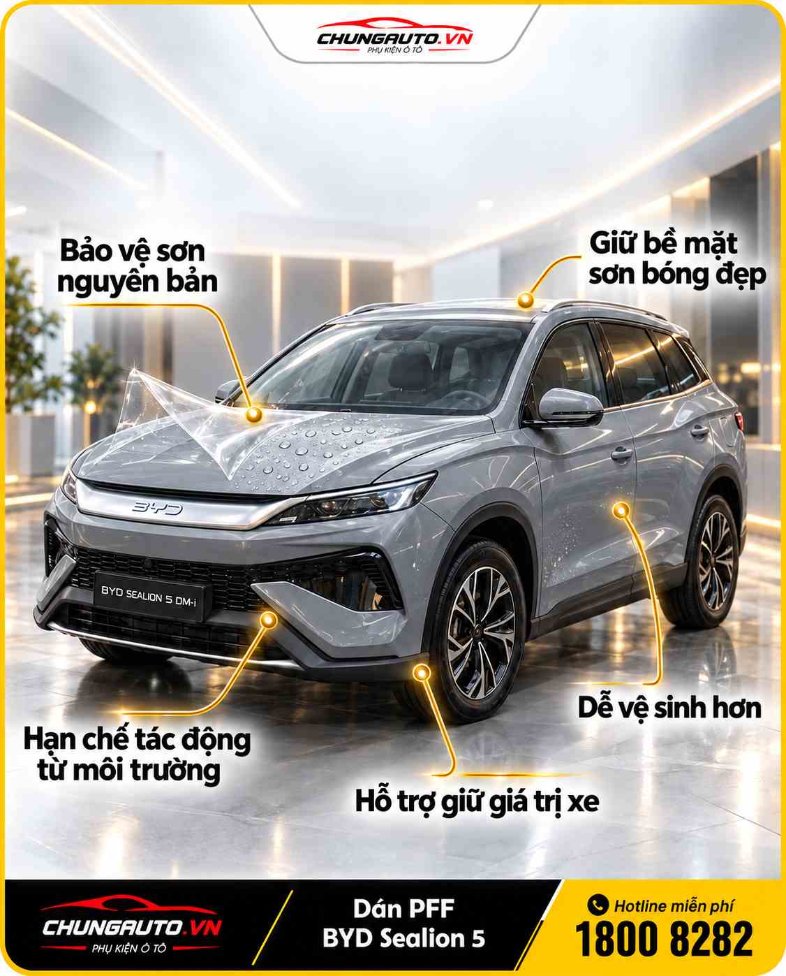 loi-ich-dan-ppf-byd-sealion-5