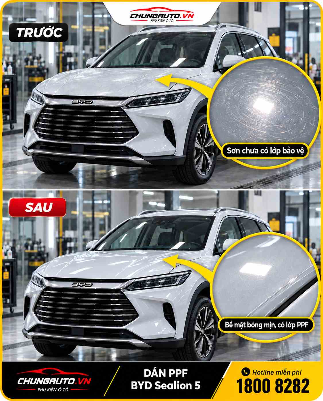truoc-va-sau-khi-dan-ppf-byd-sealion-5