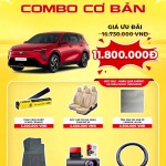 Độ xe Vinfast Limo Green combo cơ bản_1 