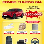 Độ xe Vinfast Limo Green combo thương gia_1 
