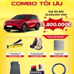 Độ xe Vinfast Limo Green Combo tối ưu_1 