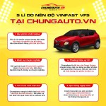 Độ xe Vinfast VF5 combo cơ bản_3 