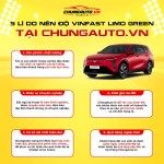 Độ xe Vinfast Limo Green combo cao cấp_3 