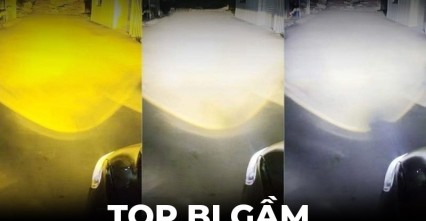 Top 3 bi gầm 3 màu chất lượng nhất