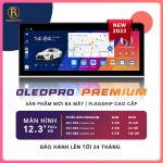 Màn Hình Android OLEDPRO X5S Premium 12.3 Inch_1 