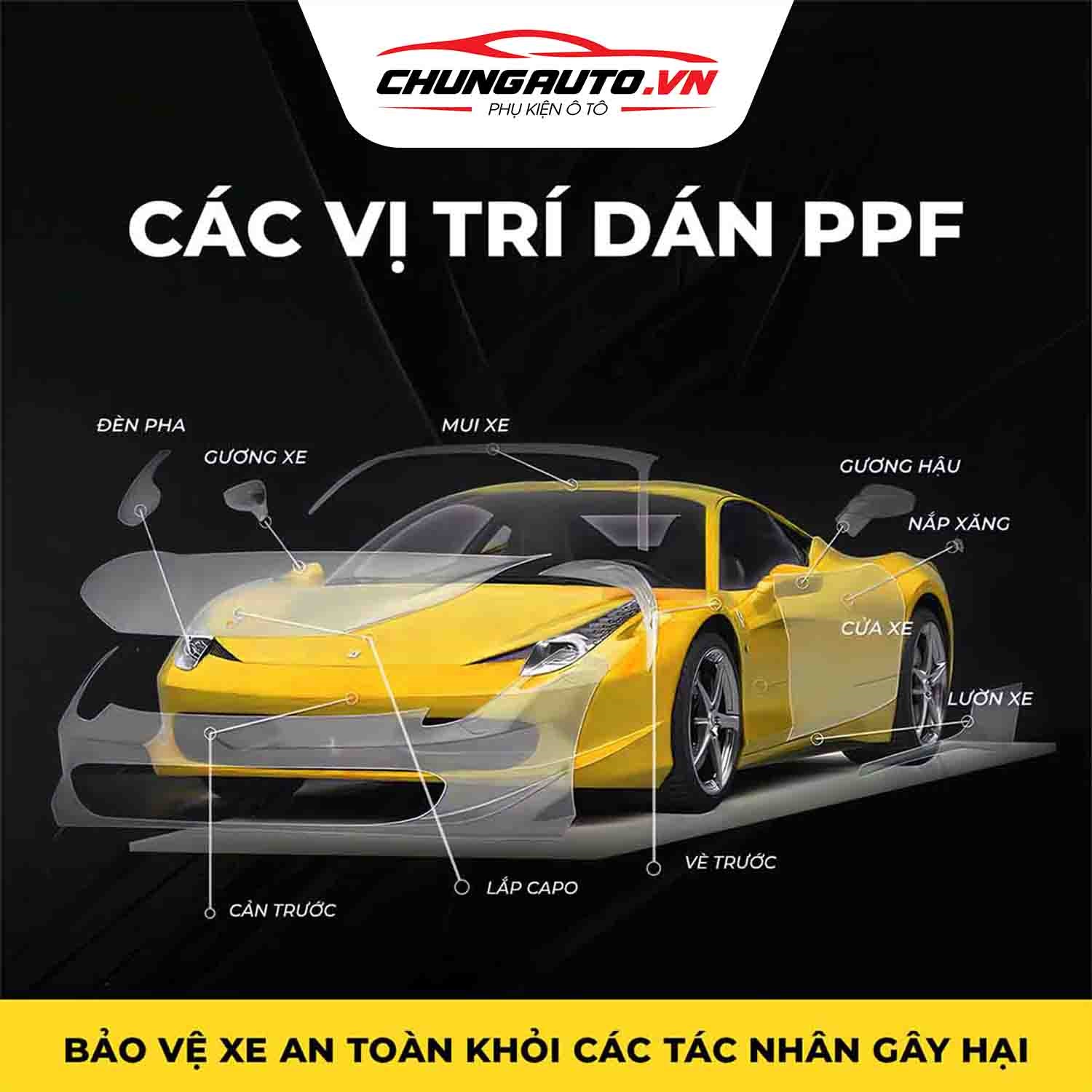 ppf oto vị trí dán 