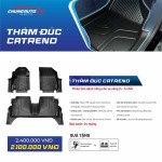 Thảm đúc khuôn Catrend_7 