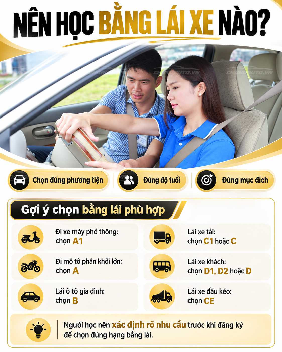 goi-y-chon-cac-loai-bang-lai-xe-phu-hop