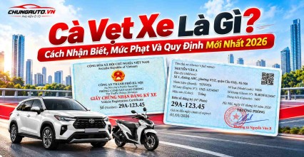 Cà Vẹt Xe Là Gì? Cách Nhận Biết, Mức Phạt Và Quy Định Mới Nhất
