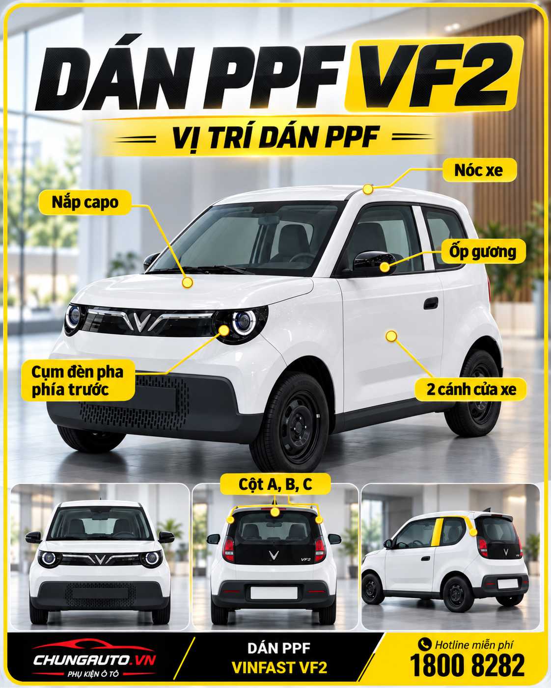 dan-ppf-vf2-vi-tri